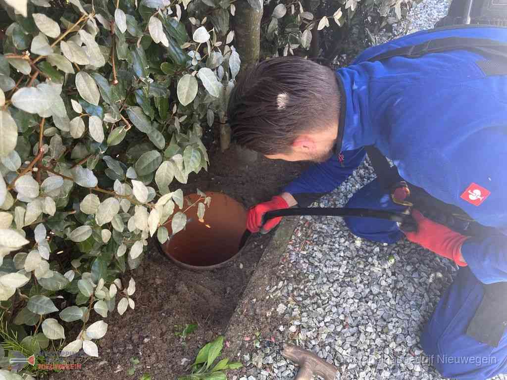 Rioolvliegjes Nieuwegein Rioolvliegjes Nieuwegein